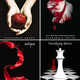 Illustration for article titled 5 Things You Need To Know About Twilight